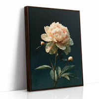Ivory Peony, Dutch Master Mood