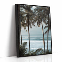 Tides Dance Beneath Tall Palms