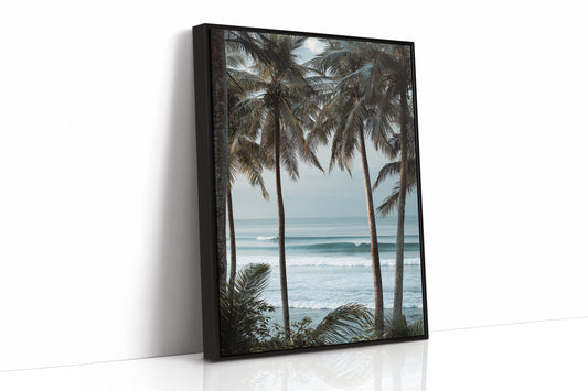 Tides Dance Beneath Tall Palms