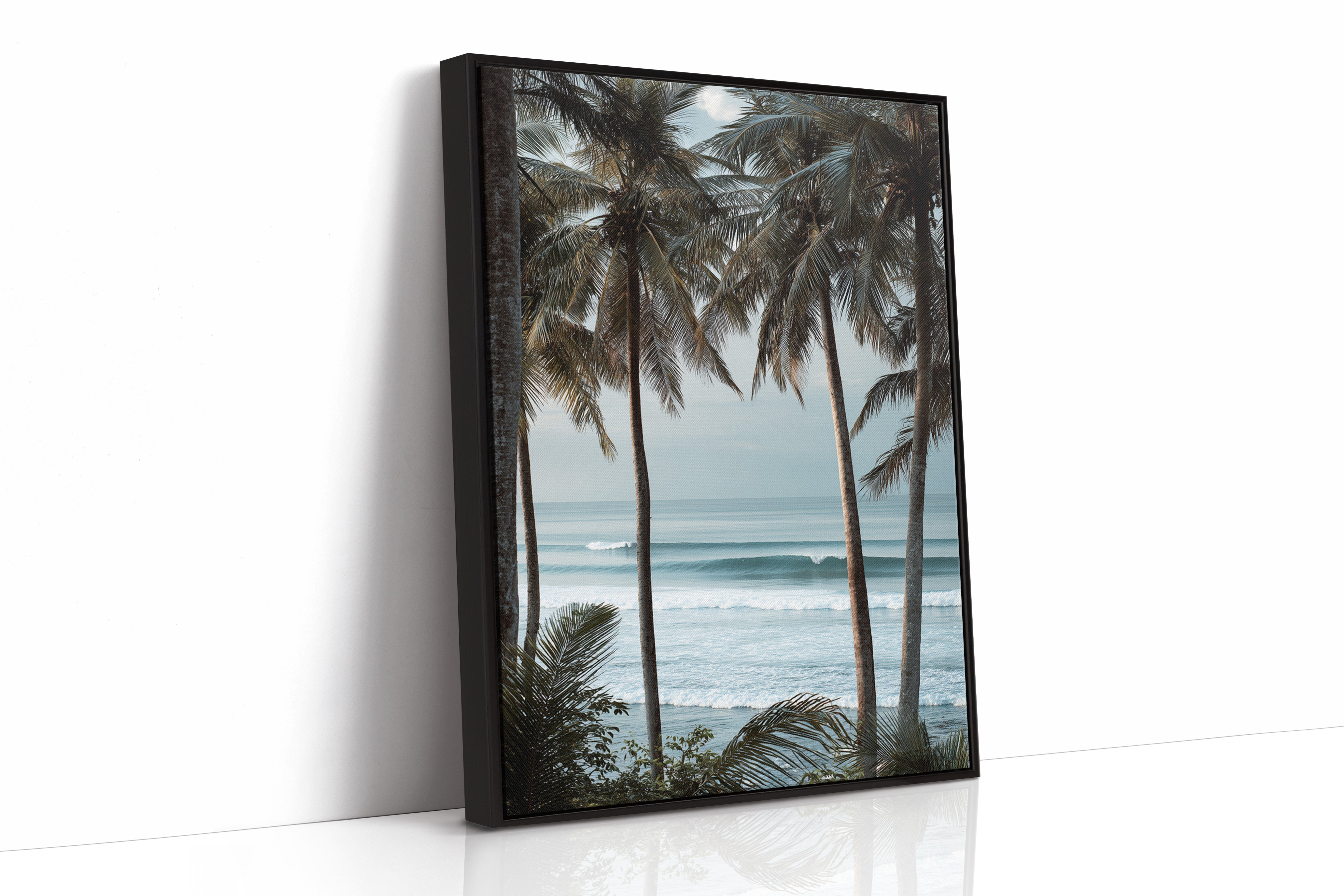 Tides Dance Beneath Tall Palms