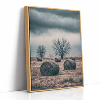 Heavy Sky Over the Hay Field