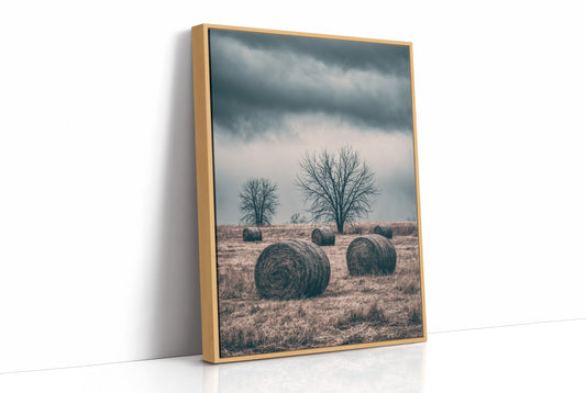 Heavy Sky Over the Hay Field