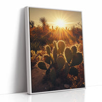 Desert Light Prickly Pear at Sunset