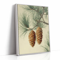 Pine Cones Dance In Winter's Light