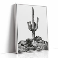 Lone Saguaro Standing Tall
