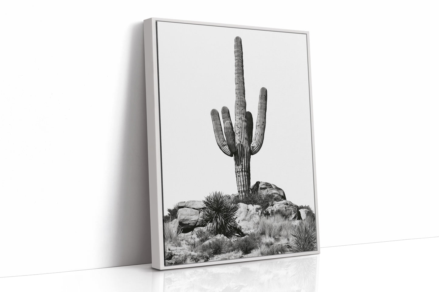 Lone Saguaro Standing Tall