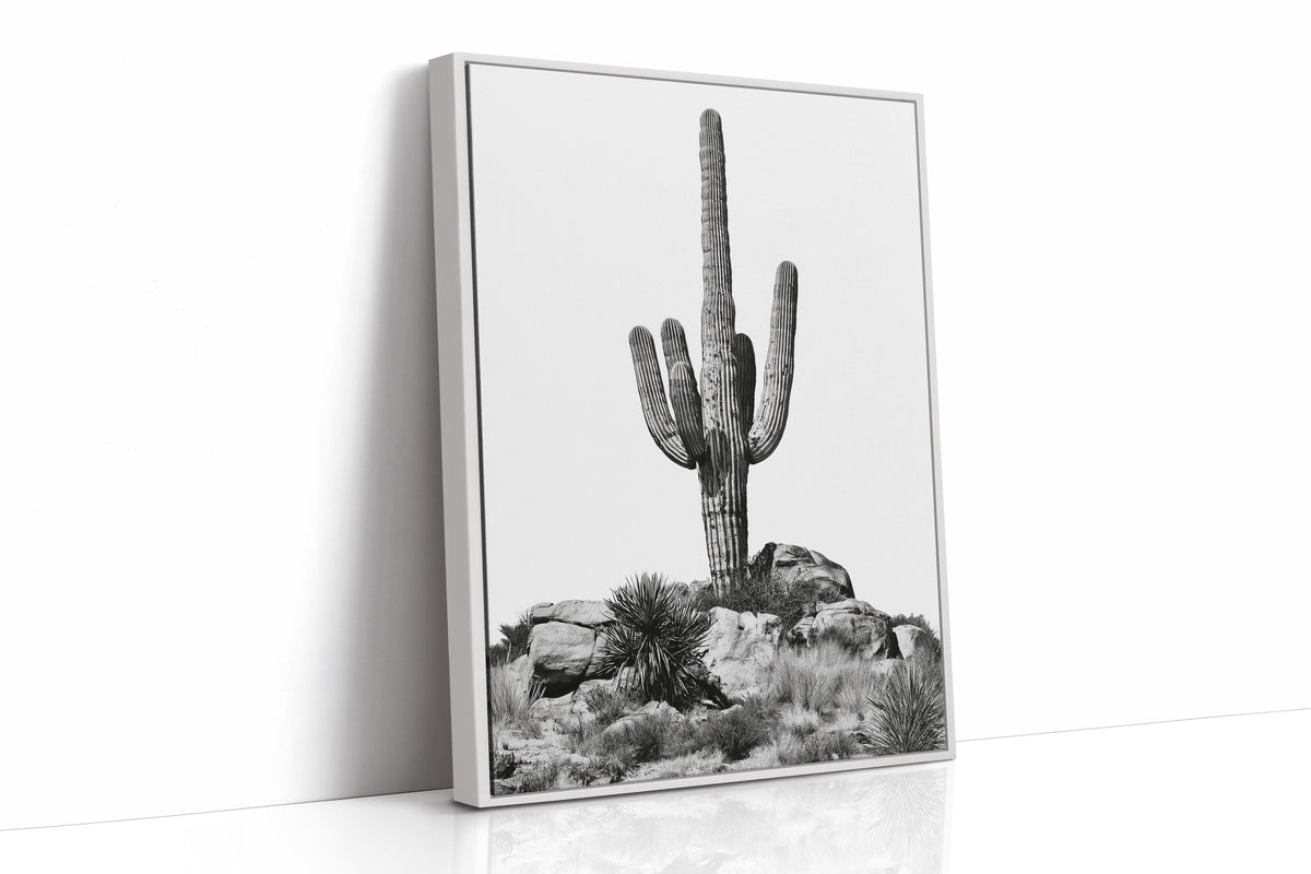 Saguaro Standing Sentinel