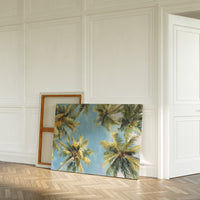Summer Breeze Lifts Palm Stories
