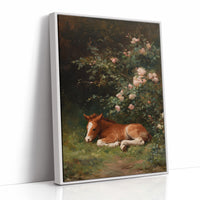 Resting Beneath the Roses