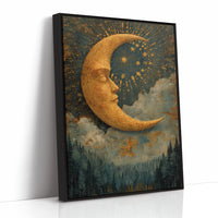 The Moon's Silent Serenade