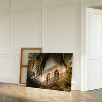 Golden Shutters Behind Palm Veils