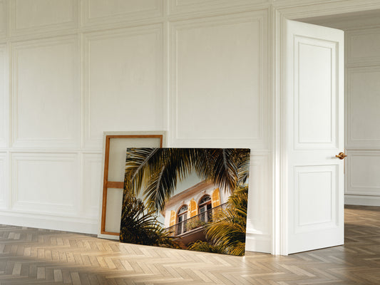 Golden Shutters Behind Palm Veils