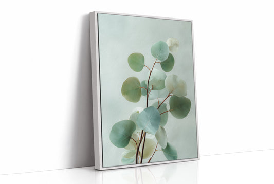Where Eucalyptus Whispers