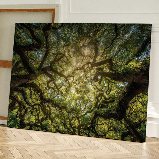 Ancient Oaks Weave Summer Light