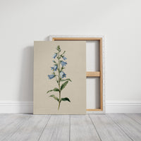 Botanical Elegance: Bellflower's Delicate Symphony
