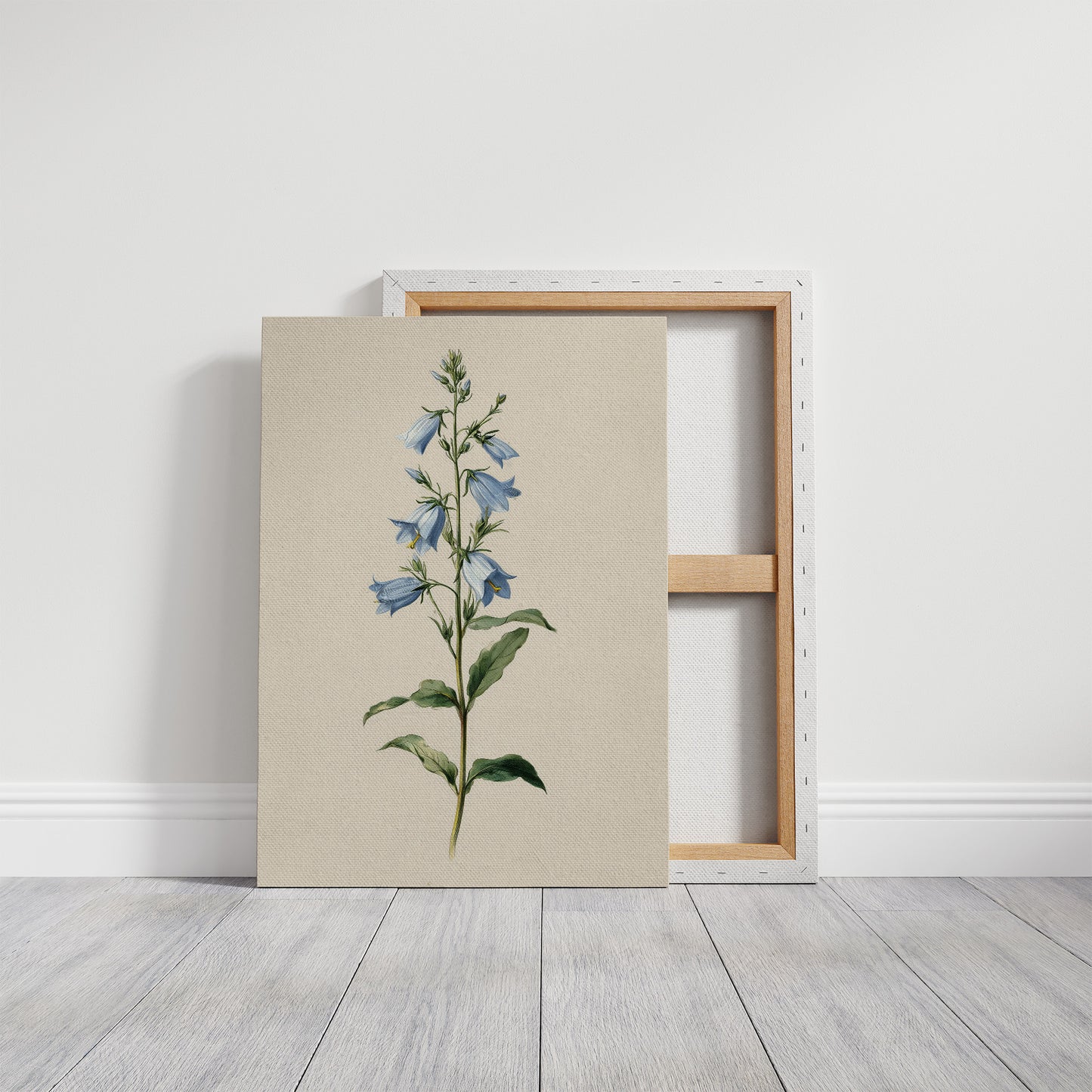 Botanical Elegance: Bellflower's Delicate Symphony