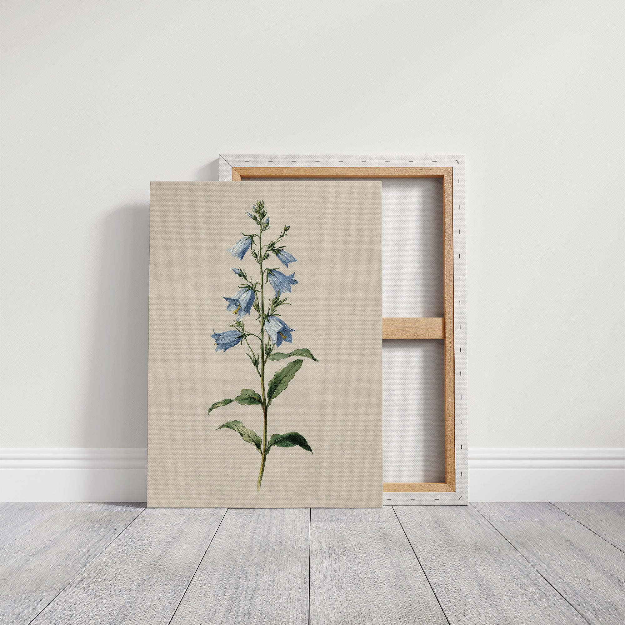 Botanical Elegance: Bellflower's Delicate Symphony