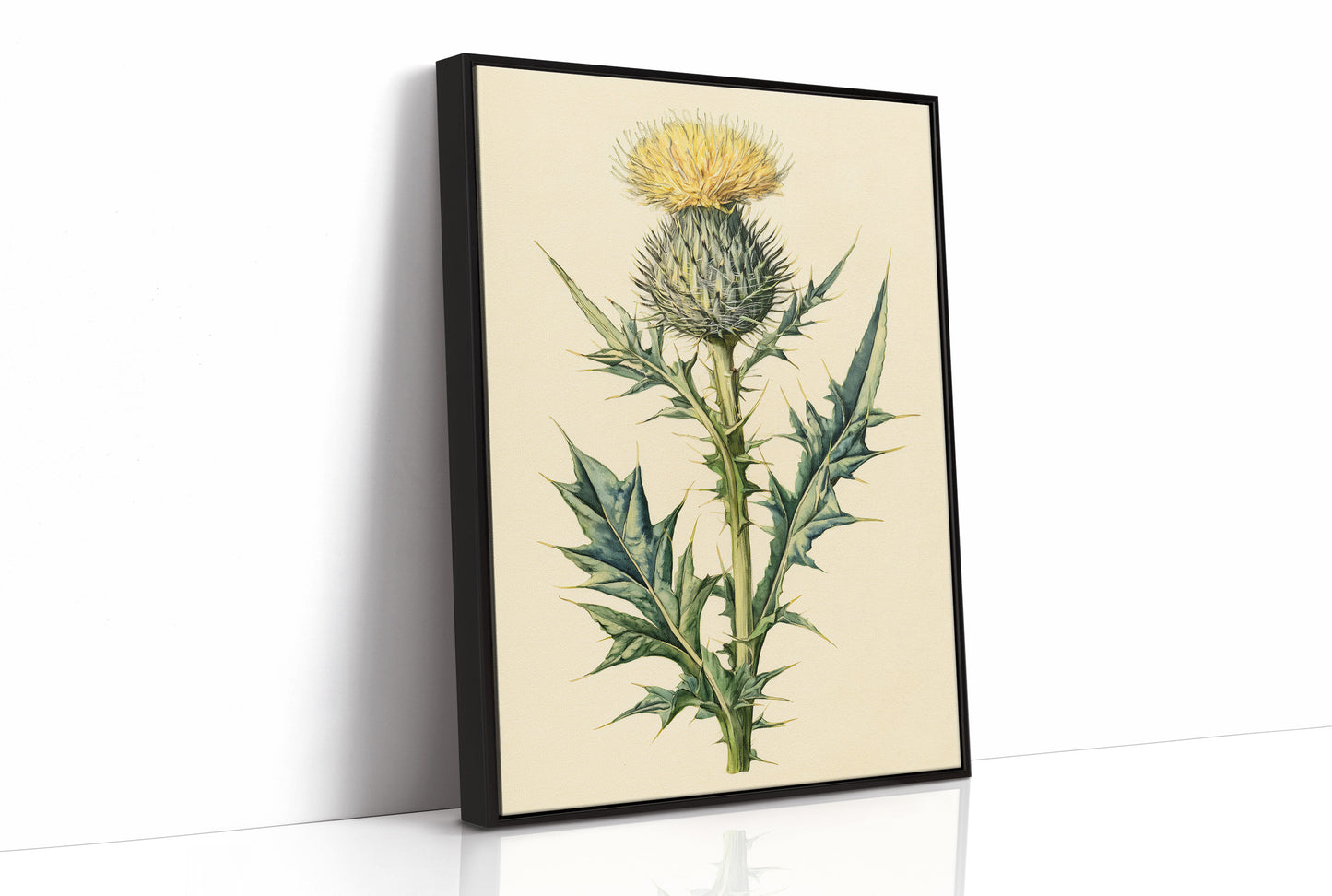 Thistle In Fine Botanical Detail