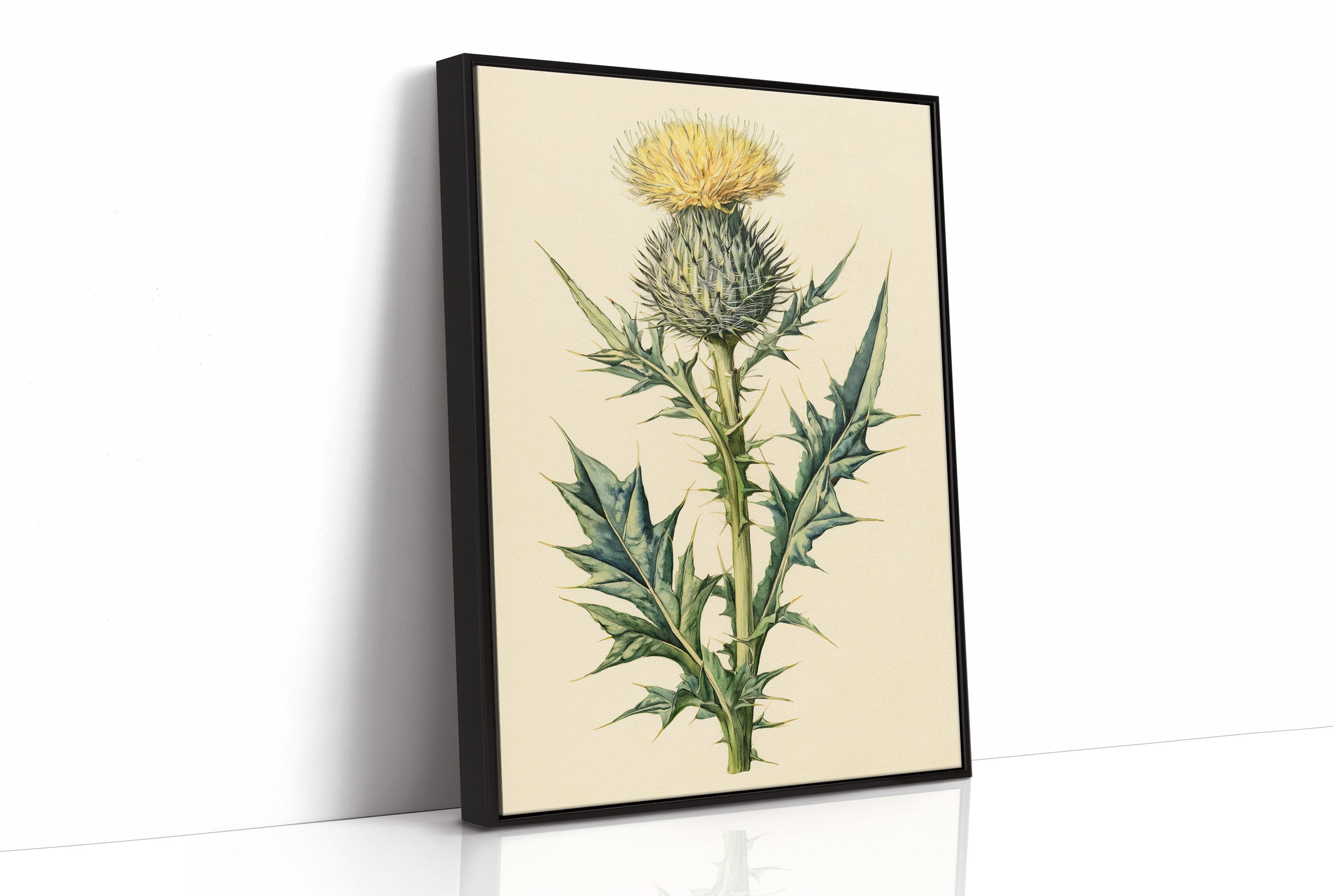 Thistle In Fine Botanical Detail
