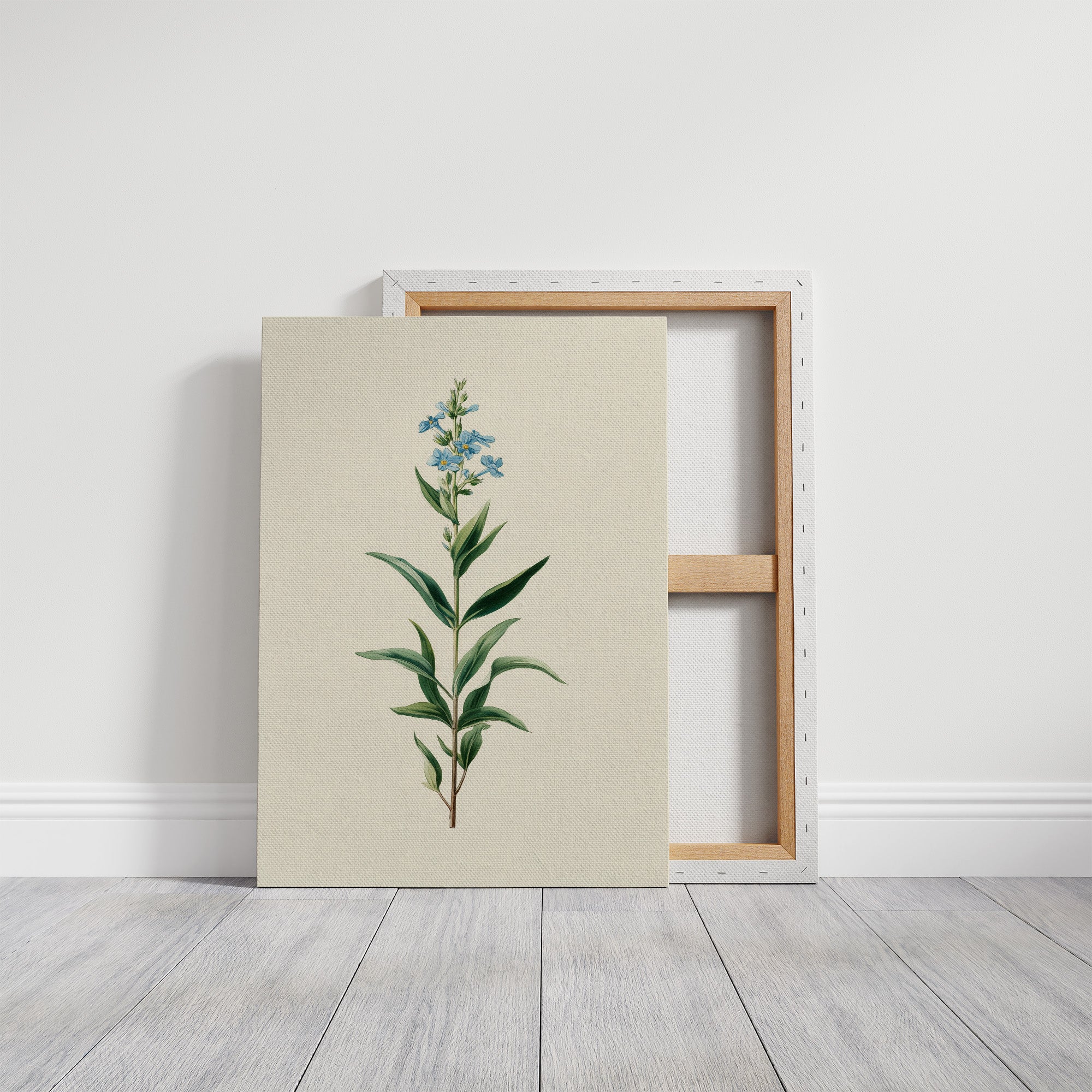 Azure Elegance: Botanical Study of Forget-Me-Not