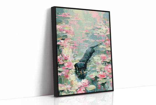 Lost in the Lily Pond