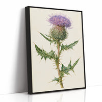 Purple Thistle In Fine Detail