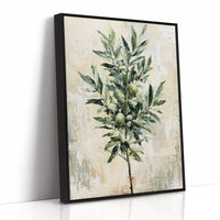 Olive Branch, Fruit and Leaf