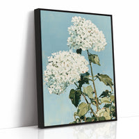 White Hydrangea Sky Bloom