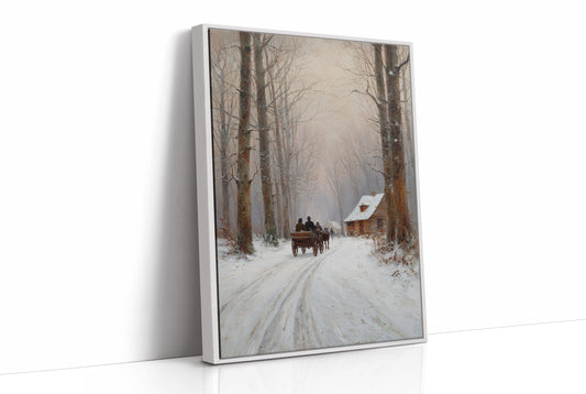 Snow Path Leads Through Ancient Trees