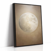 Moonlit Stories Rest Between Pages