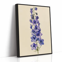 Delphinium Dreams: A Purple Study