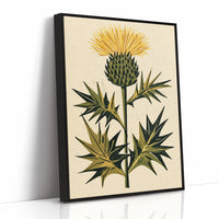 Golden Thistle in Bloom