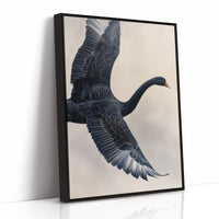 Black Swan Takes Evening Flight