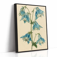 Nodding Blues: A Columbine Study