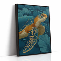 Turtle Among Coral Fans