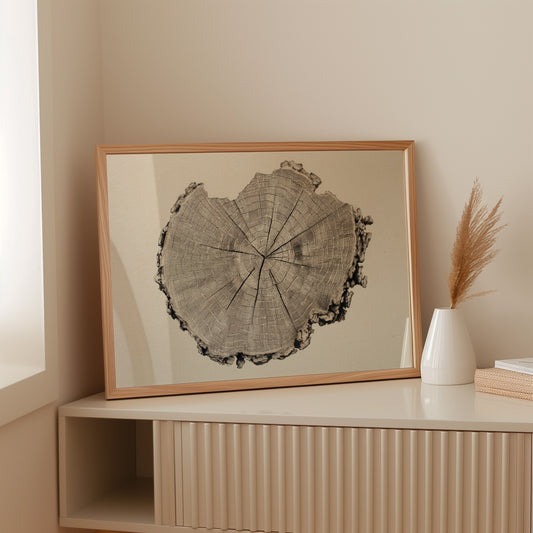 Timber Tales of Time