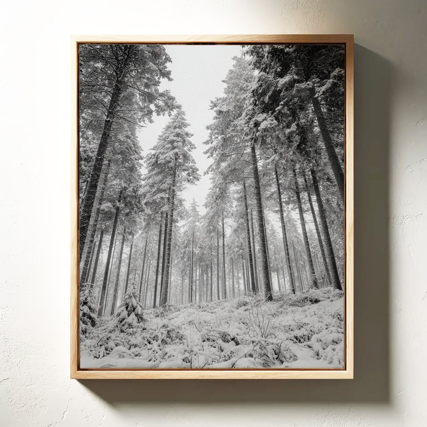 Beneath the Silent Canopy