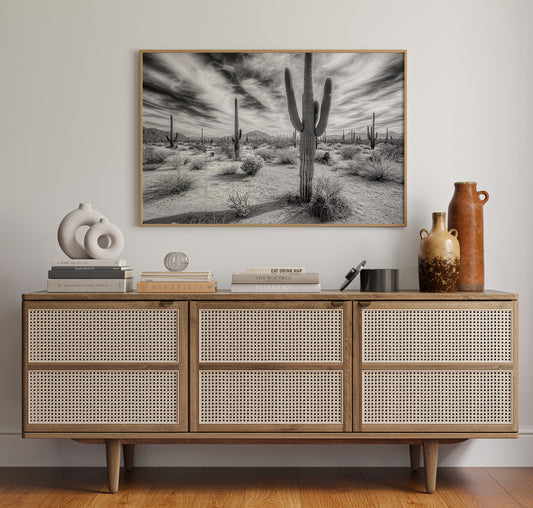Saguaro Silence in Black and White