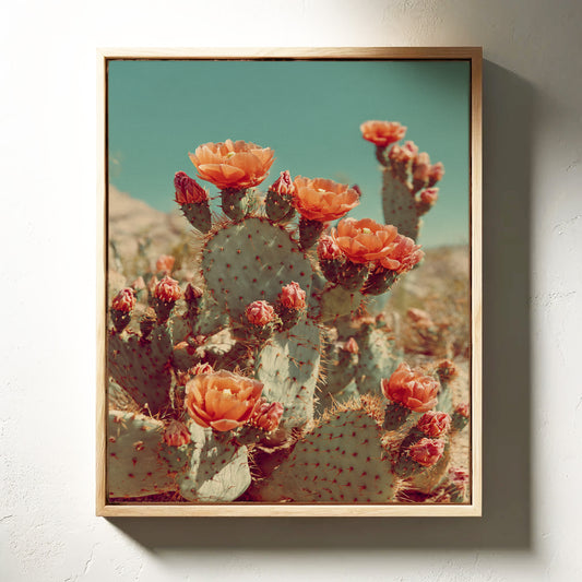 Desert Blooms in Radiant Sunlight