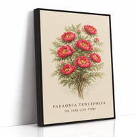 Crimson Nobility: Botanical Heritage Preserved