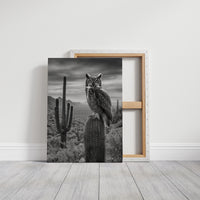 Night Watch Over Saguaro Plains