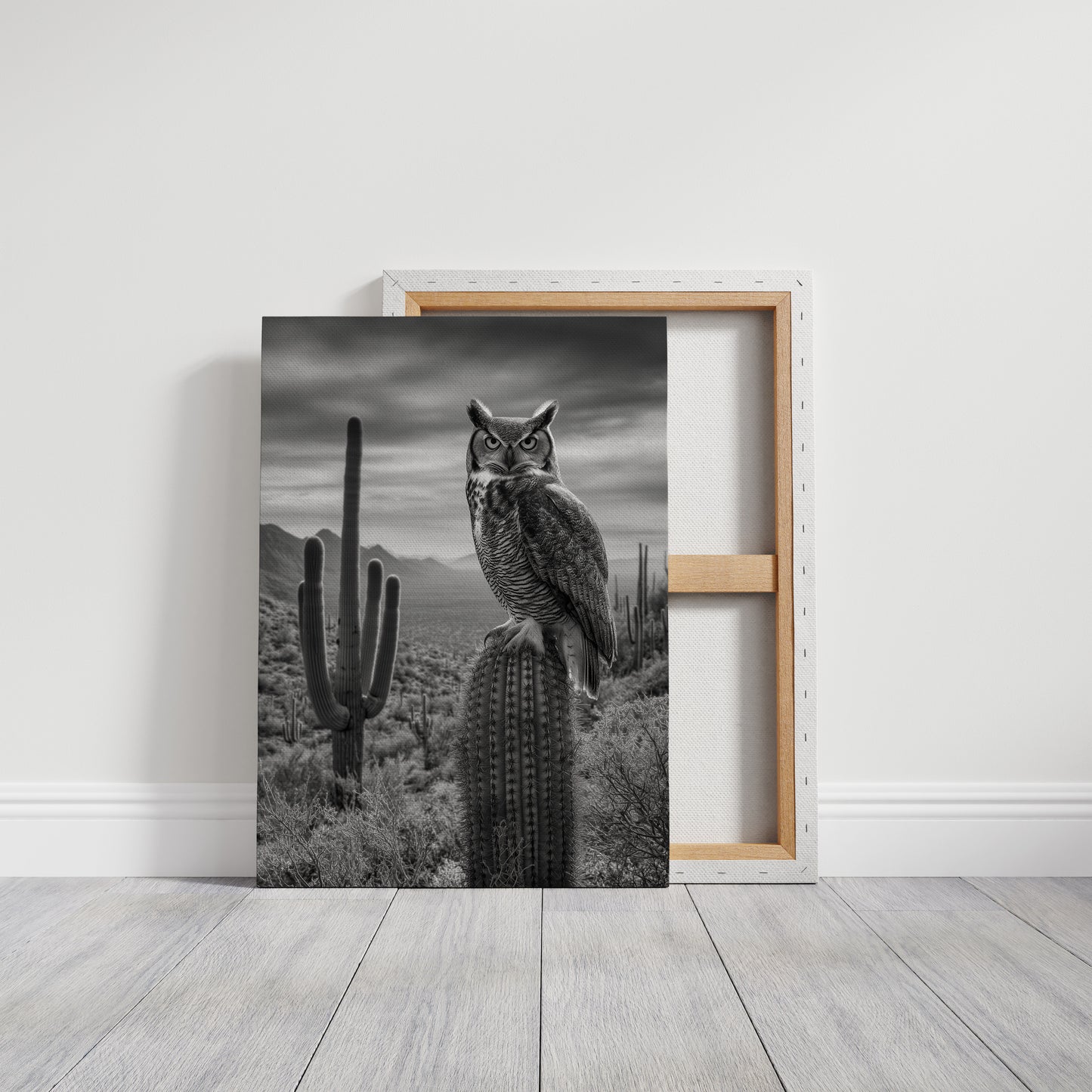 Night Watch Over Saguaro Plains