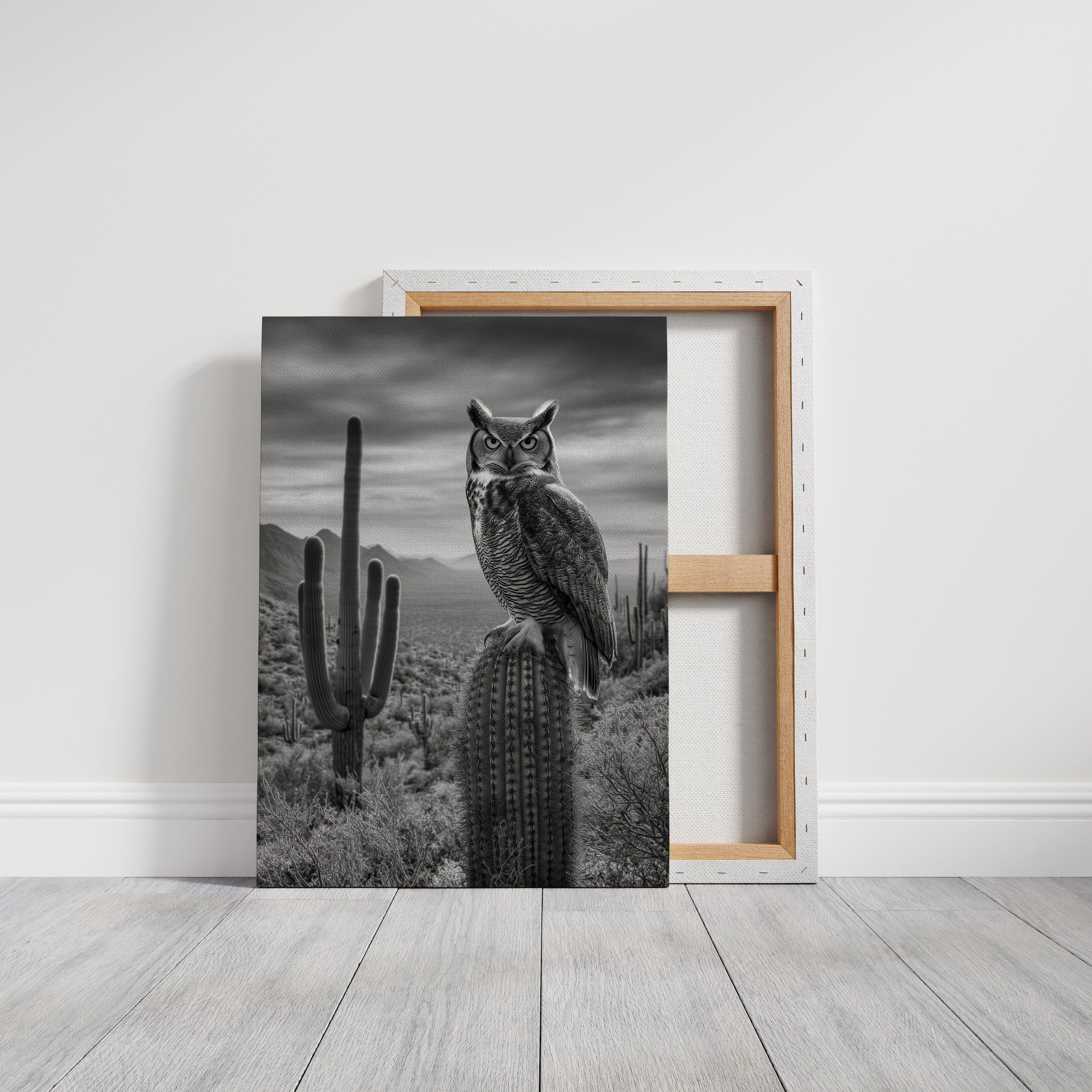 Night Watch Over Saguaro Plains