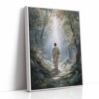 Light Guides The Forest Path