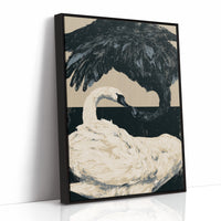 Black-Necked Swan on the Waterline