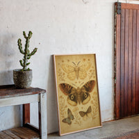 Vintage Moths and Meadow Wings