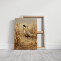 Pheasant Stands Among Golden Stalks
