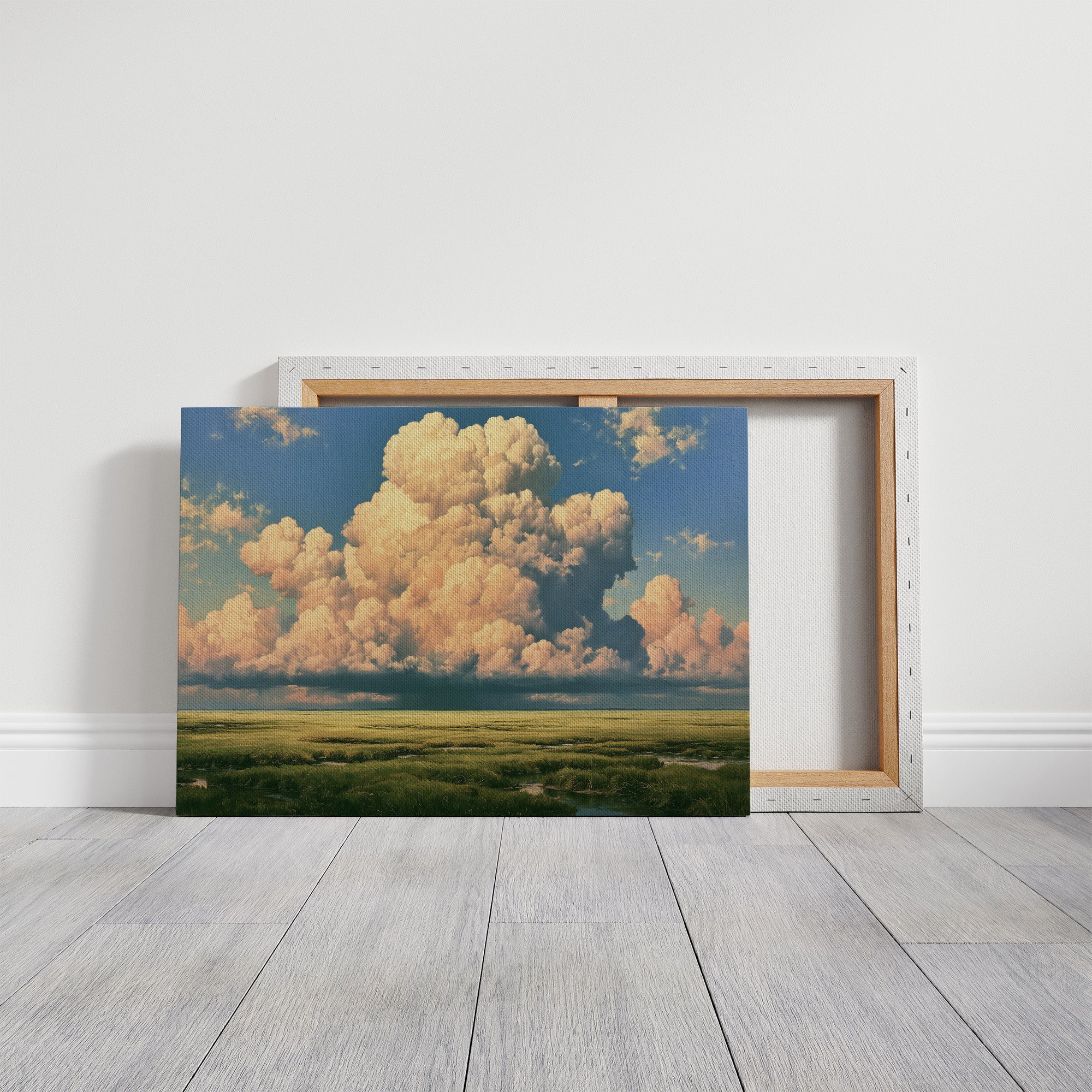 Marshland Beneath the Clouds