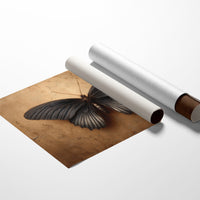 Midnight Wings on Gold