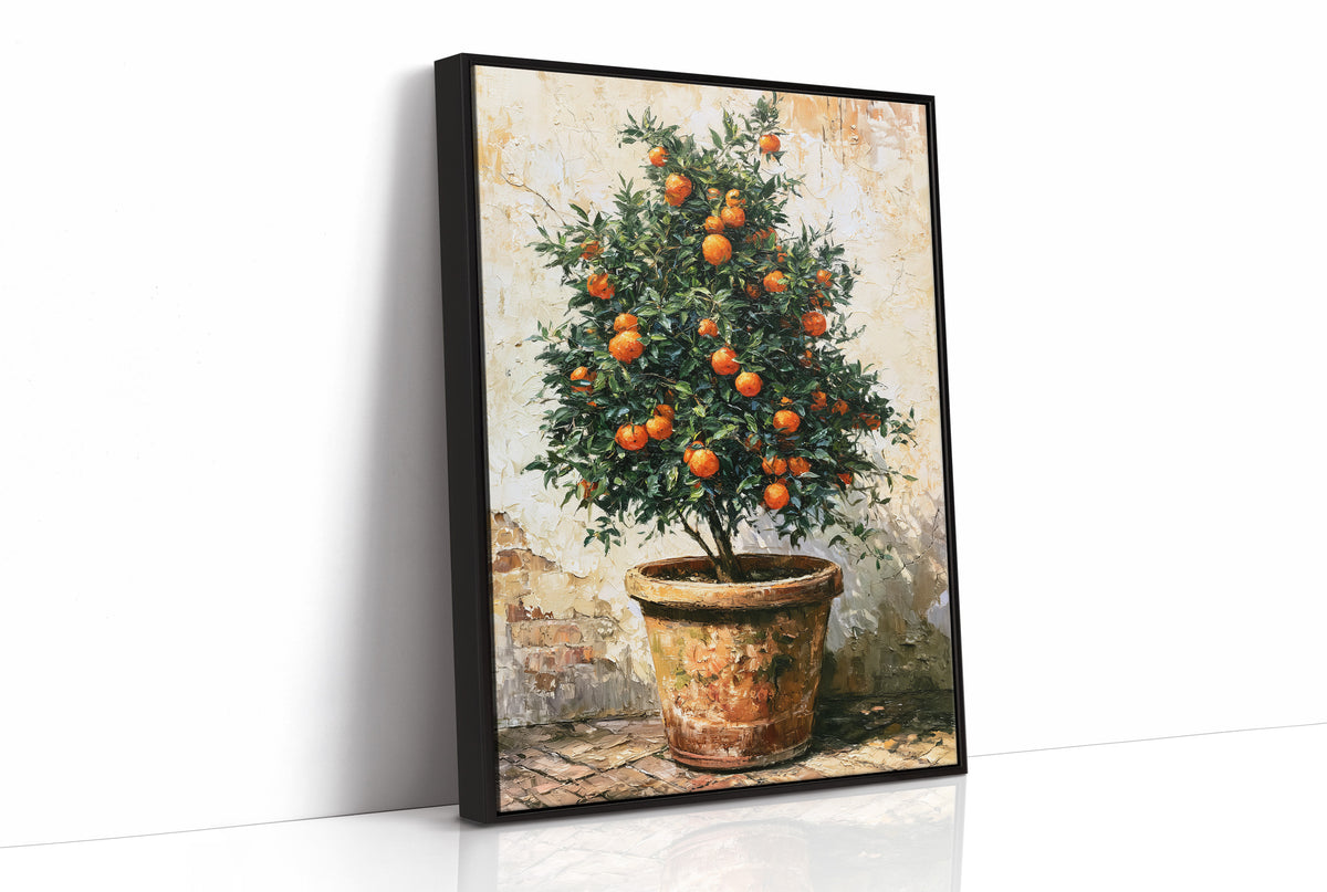 Terracotta and Sunlight: Potted Orange Tree Still Life